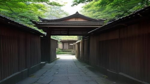 城市马拉松备赛攻略